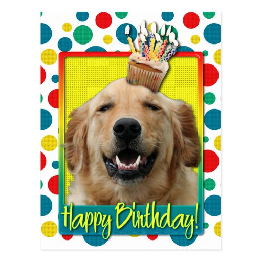 golden retriever birthday ecard golden retriever items postcards breeds picture golden retriever birthday ecard golden retriever items postcards breeds picture