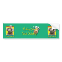 Birthday Cupcake - Koala Bumper Sticker