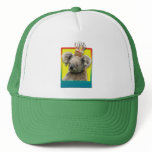 Birthday Cupcake - Koala Hat