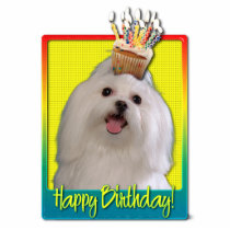 Birthday Cupcake - Maltese Photo Cutout