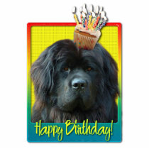 Birthday Cupcake - Newfoundland Photo Sculpture