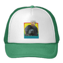 Birthday Cupcake - Newfoundland Trucker Hat