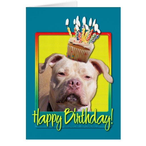 Birthday Cupcake - Pitbull - Jersey Girl Card | Zazzle