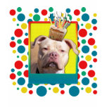 Birthday Cupcake - Pitbull - Jersey Girl Shirts