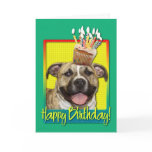 Birthday Cupcake - Pitbull - Tigger Greeting Cards