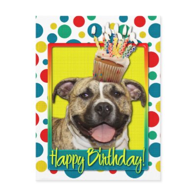 Birthday Cupcake - Pitbull - Tigger Postcard by FrankzPawPrintz