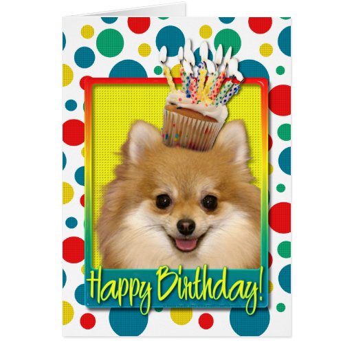 pomeranian cards birthday cupcake pomeranian card zazzle pomeranian cards birthday cupcake pomeranian card zazzle