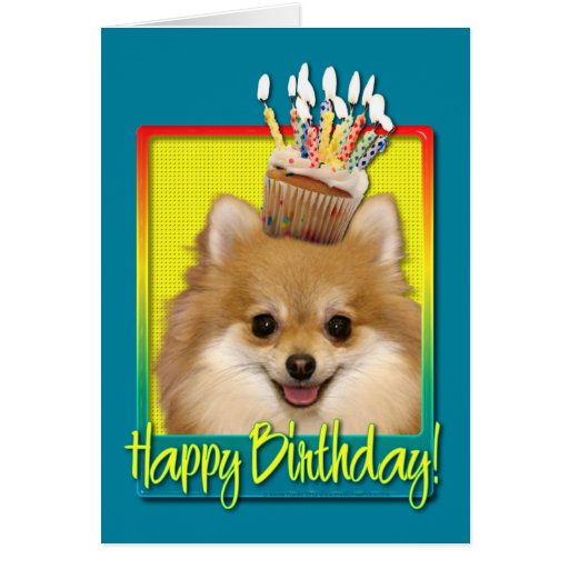pomeranian cards birthday cupcake pomeranian greeting card zazzle pomeranian cards birthday cupcake pomeranian greeting card zazzle