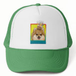 Birthday Cupcake - Pomeranian Mesh Hat