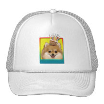 Birthday Cupcake - Pomeranian Hat