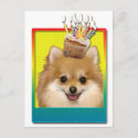 Birthday Cupcake - Pomeranian Postcard