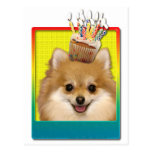 Birthday Cupcake - Pomeranian Postcard