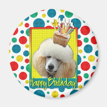 Birthday Cupcake - Poodle - Apricot Refrigerator Magnets