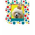 Birthday Cupcake - Poodle - Apricot t-shirts