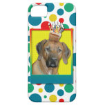 Birthday Cupcake - Rhodesian Ridgeback iPhone 5 Cases