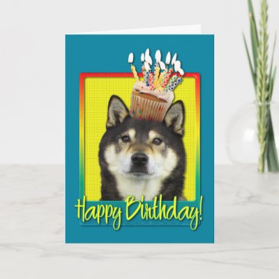 Shiba Inu Birthday