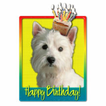 Birthday Cupcake - West Highland Terrier Photo Cutouts