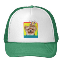 Birthday Cupcake - Yorkshire Terrier Hats
