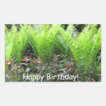 Birthday Fern Garden Rectangle Stickers