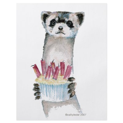 Birthday Ferret Flyer by cathylester