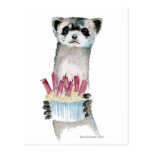 Birthday Ferret Postcard