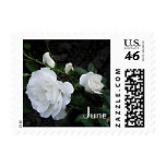 Birthday Flowers - June Rose Postage