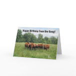 Birthday From Group Cards