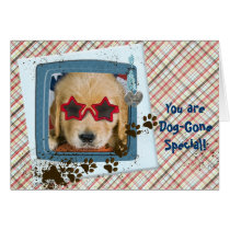 Birthday from the Dog cards