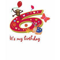 birthday gifts: six years old t-shirts