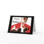 Birthday Greeting Card