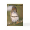Birthday Greeting Card - Squirrel by shellmart Birthday Greeting Card - Squirrel