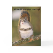 Birthday Greeting Card - Squirrel