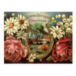 Birthday Greeting With Roses Post Cards