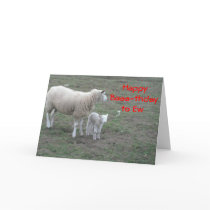 Birthday Greetings Cards