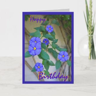 Birthday greetings Card card