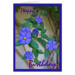 Birthday greetings Card