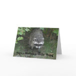Birthday Greetings - Raccoon cards