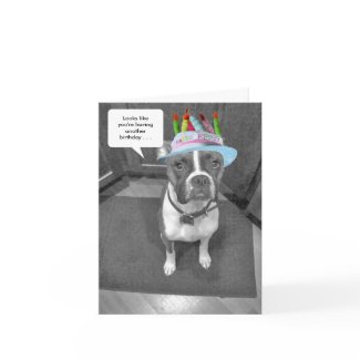 Birthday Hat Brindle Boxer card