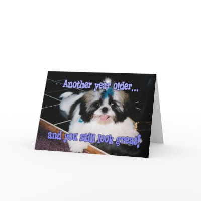 Birthday Humor - Cute Shih-Tzu Puppy Greeting Card by MoMoCards