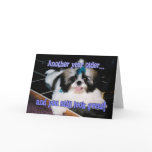 Birthday Humor - Cute Shih-Tzu Puppy Greeting Card