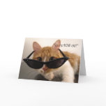 Birthday Humor - You're HOW Old? Cat