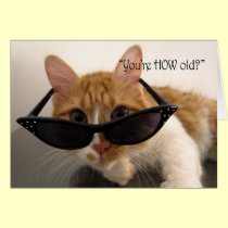Birthday Humor - You're HOW Old? Cat cards