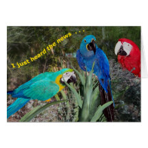 Birthday News Greeting Cards