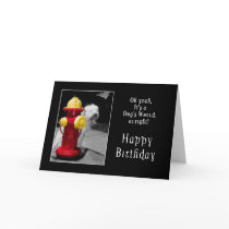 BIRTHDAY - ONE LUCKY DOG - HYDRANT/DOG GREETING CARDS
