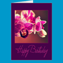 Birthday Orchid cards