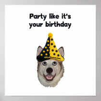 Birthday Party Dog Poster