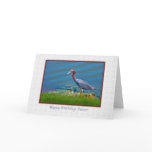 Birthday, Pastor, Little Blue Heron Greeting Cards