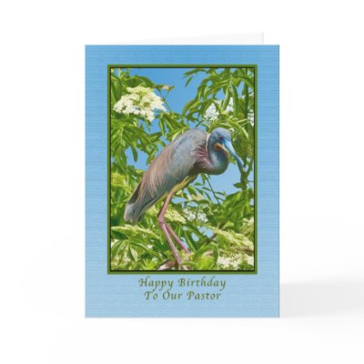 Birthday,  Pastor, Tricolored Heron in a Tree Card by GrandmaDee