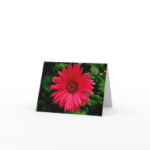 Birthday - Pink Flower-small Greeting Card