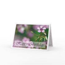 Birthday - Pink Wood Sorrel Greeting Card